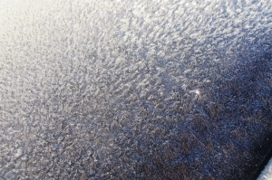car frost Cheyenne MacMasters